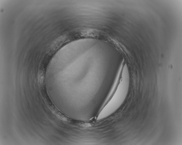 X0000086020513200704201924