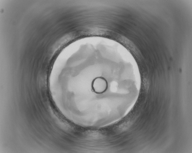 X0000086020534200704201924