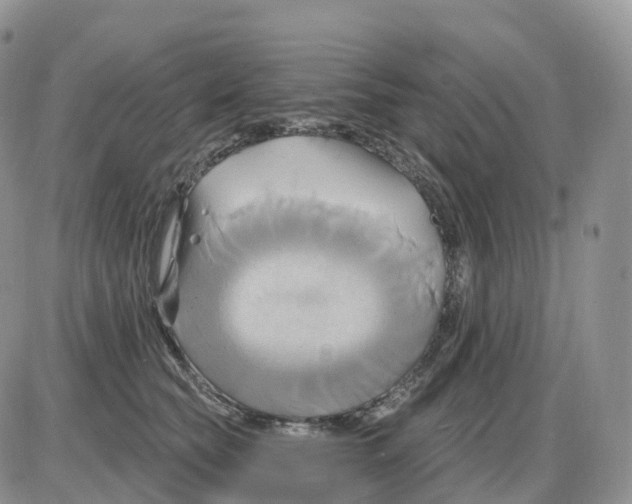 X0000086020565200704201924