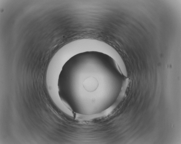X0000086020568200704201924