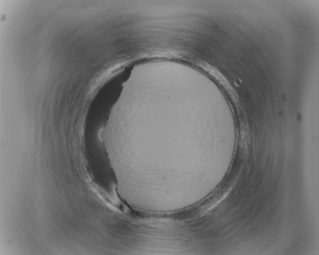X0000086020577200704201923