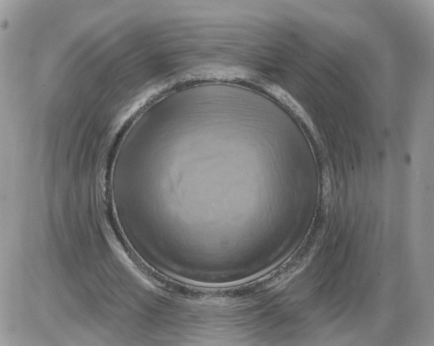 X0000086020581200704201923
