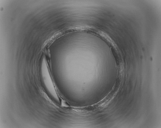 X0000086020585200704201923