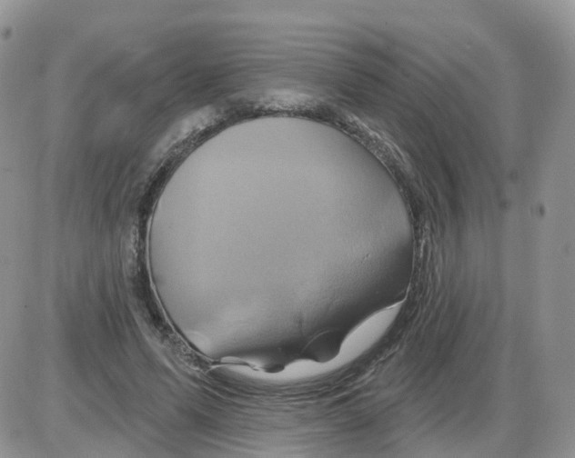X0000086020591200704201923
