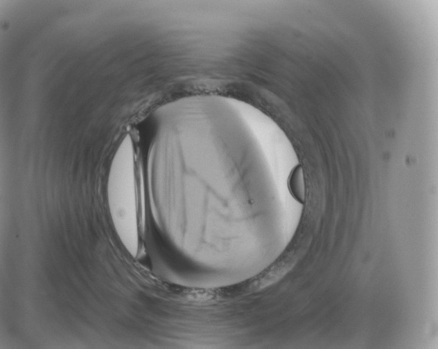 X0000086020624200704201923