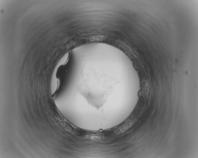 X0000086020655200704201922