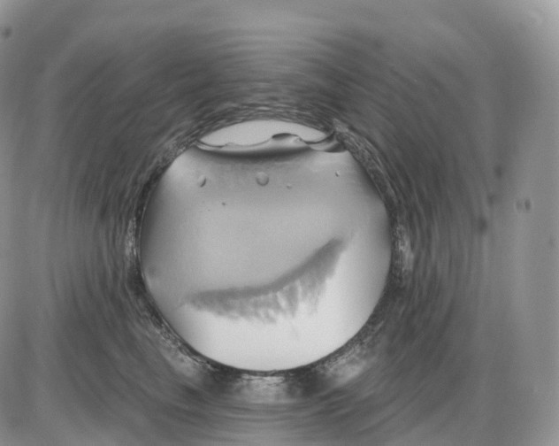 X0000086020665200704201923