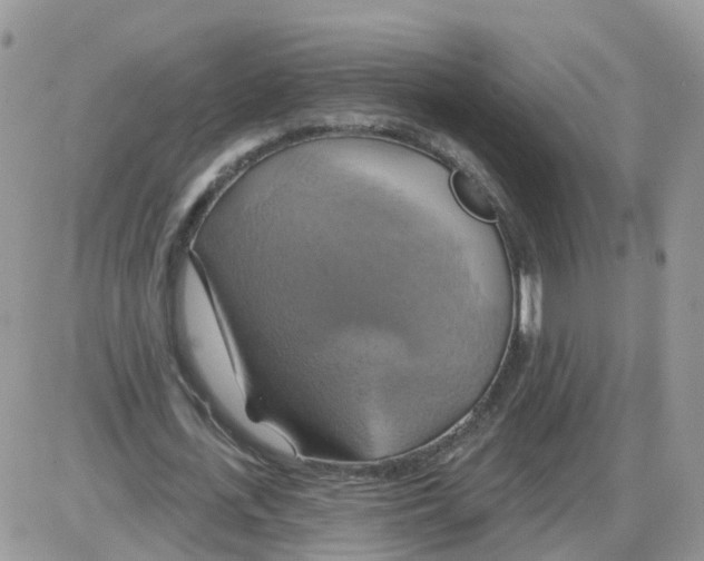 X0000086020723200704201920