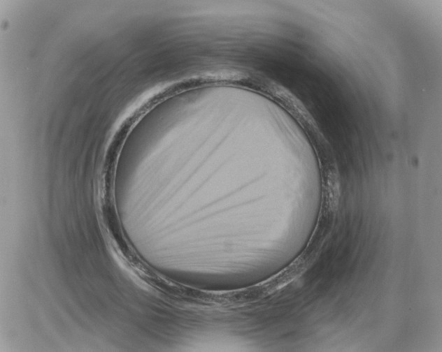 X0000086020726200704201920