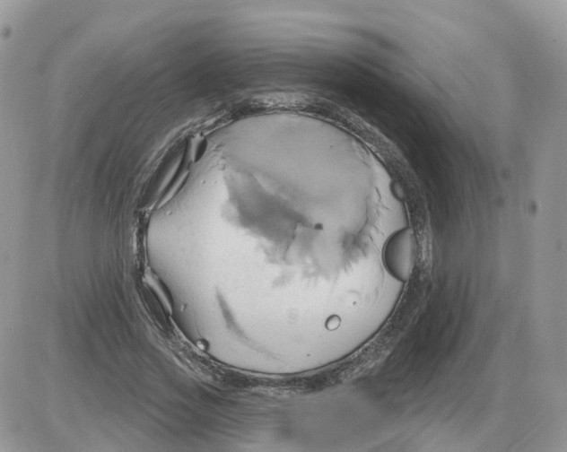 X0000086020733200704201921