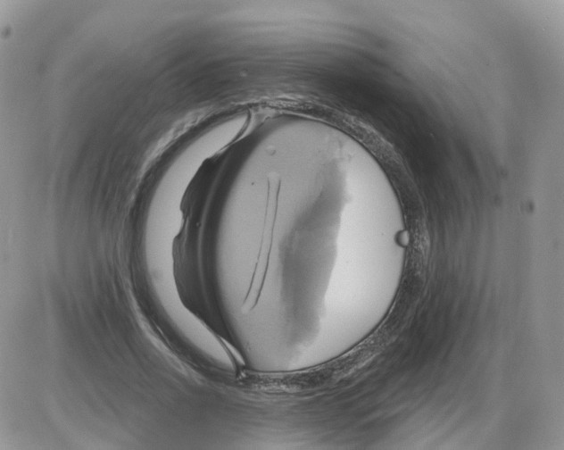 X0000086020734200704201921