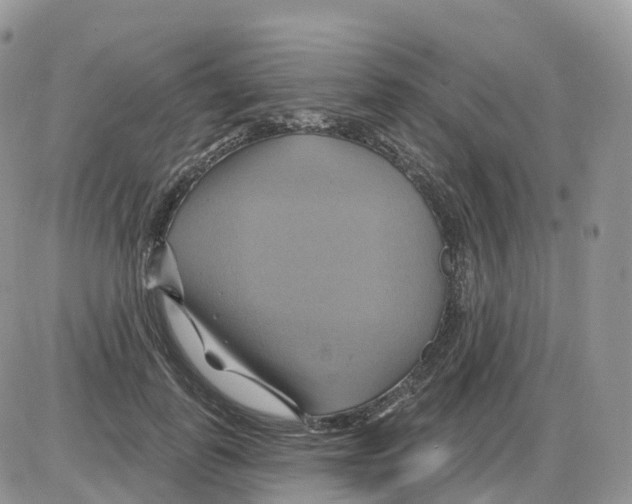 X0000086020747200704201921