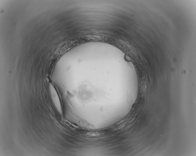 X0000086020749200704201921