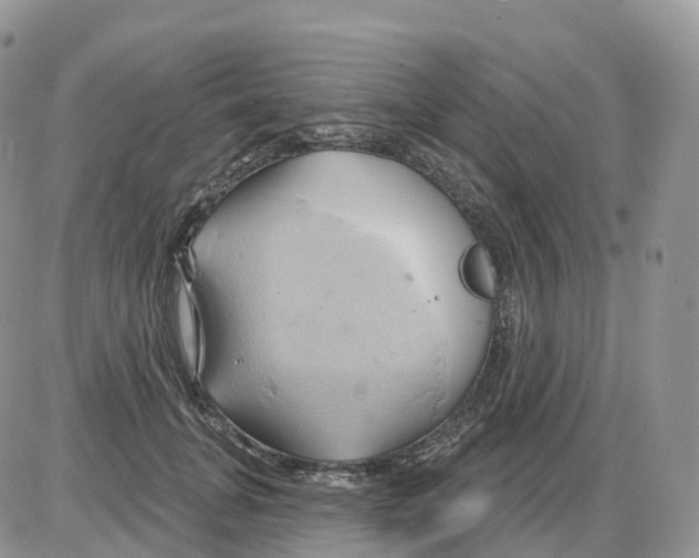 X0000086020751200704201921