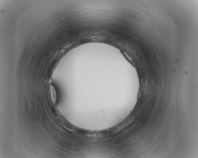 X0000086020752200704201921