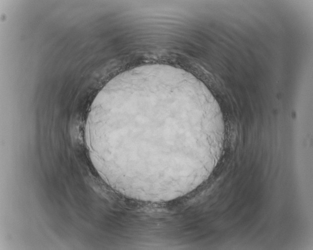 X0000086020770200704201920