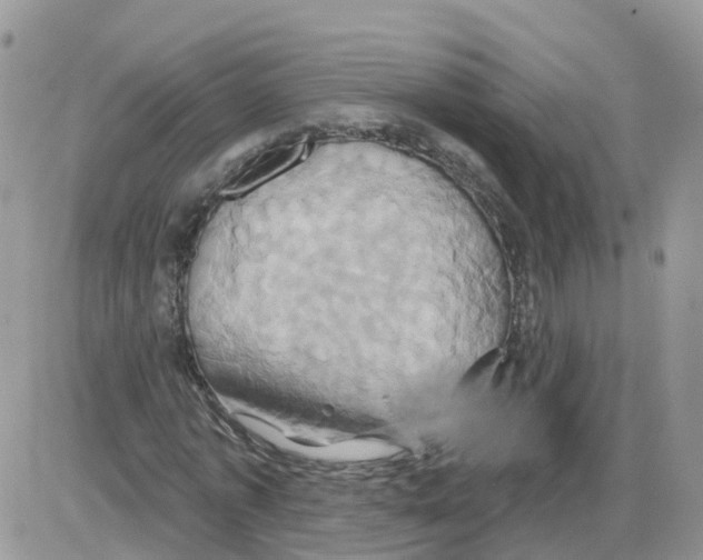 X0000086020773200704201920