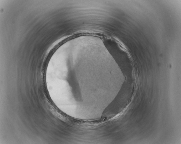 X0000086020779200704201920