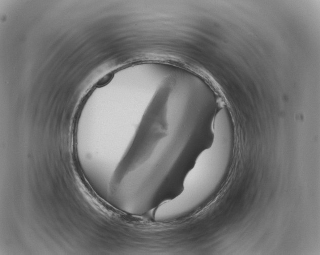 X0000086020795200704201920
