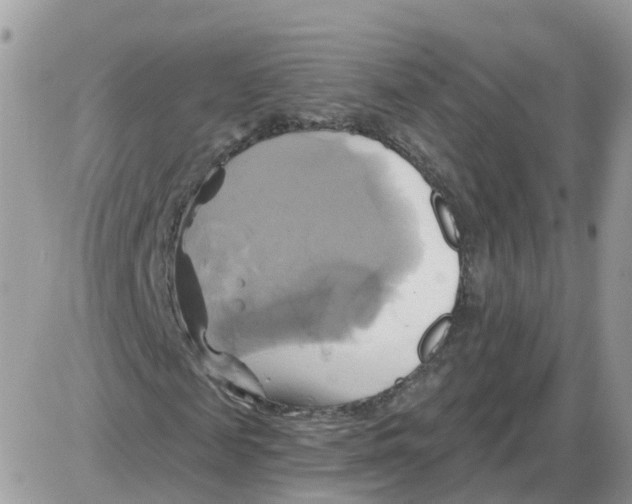 X0000086020817200704201919