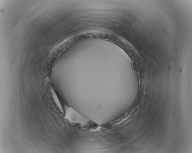 X0000086020822200704201919