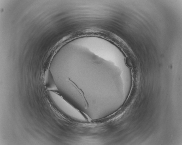 X0000086020825200704201919
