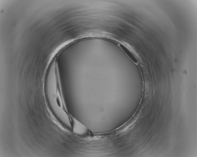 X0000086020846200704201919