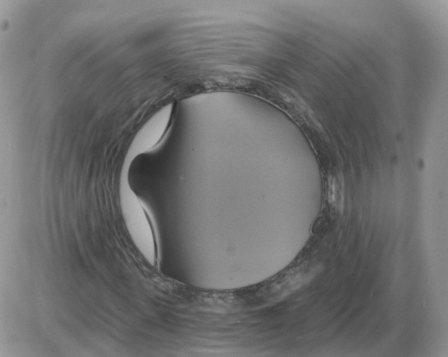 X0000086020915200704201917