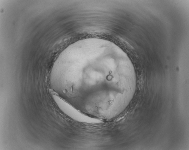 X0000086020917200704201917