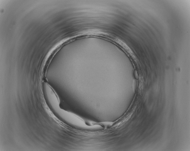 X0000086020939200704201917