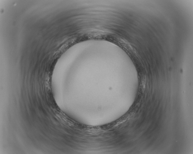 X0000086020964200704201917