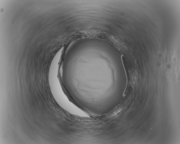 X0000086021010200704201916