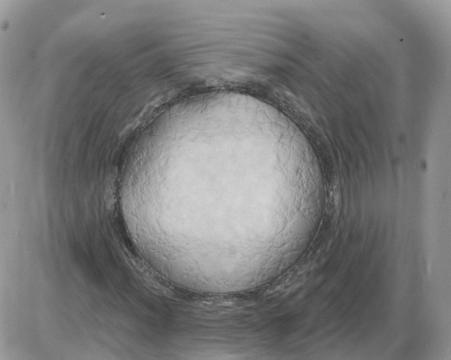 X0000086021012200704201916