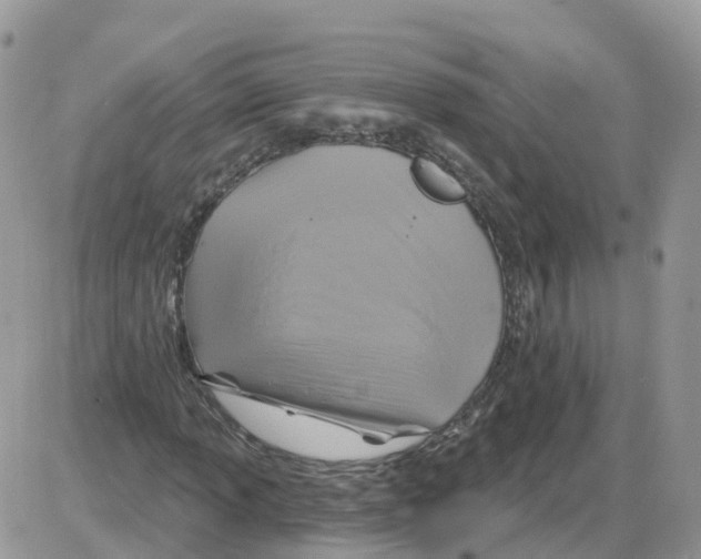 X0000086021013200704201916