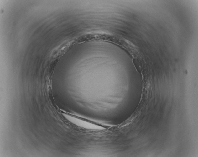 X0000086021014200704201916