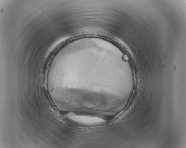 X0000086021019200704201916