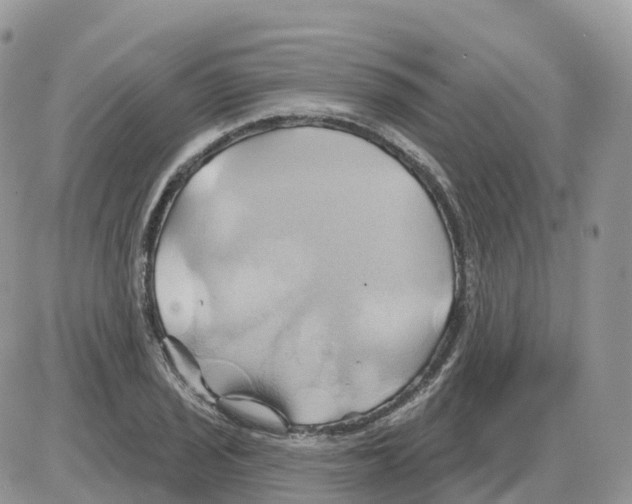 X0000086021029200704201916