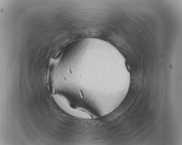 X0000086021058200704201915
