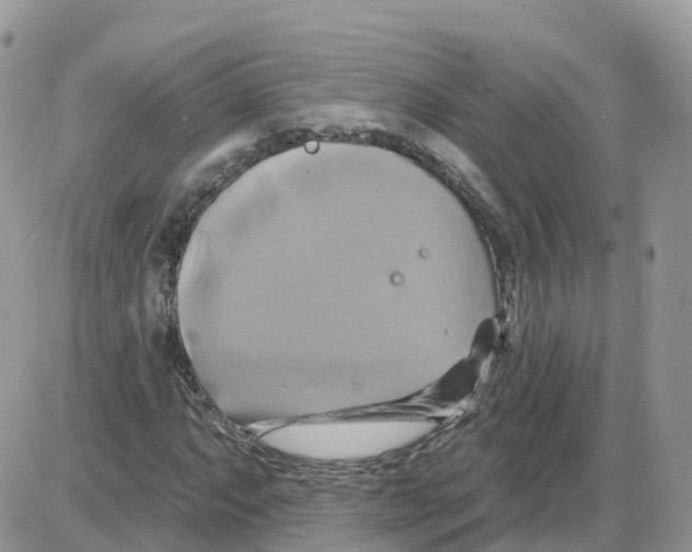 X0000086021063200704201915