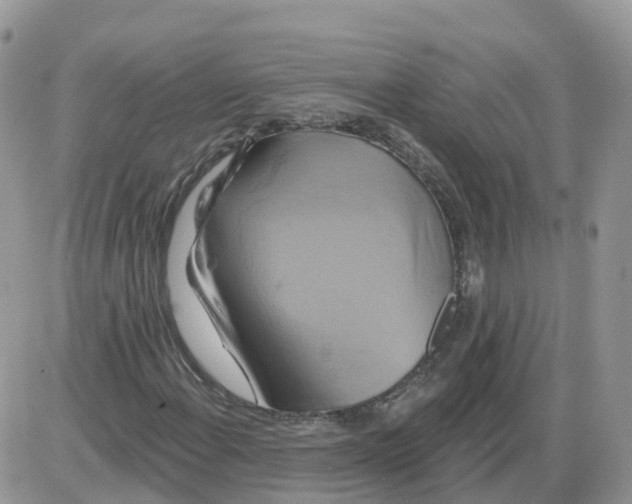 X0000086021108200704201914