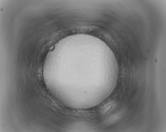 X0000086021109200704201914