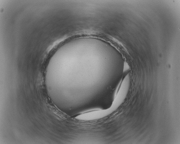 X0000086021160200704201914