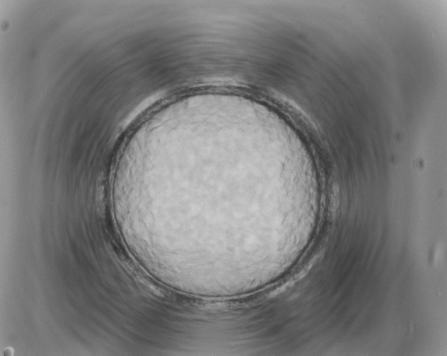 X0000086021162200704201914