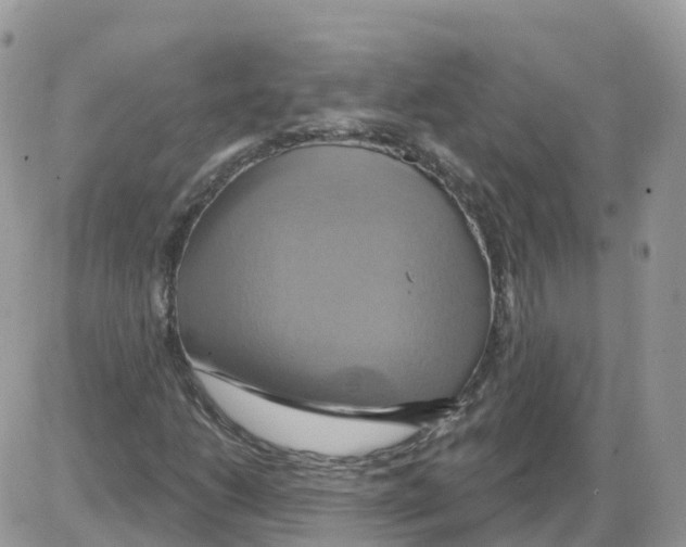 X0000086021206200704201912