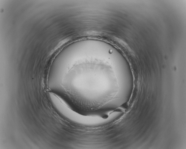 X0000086021209200704201913