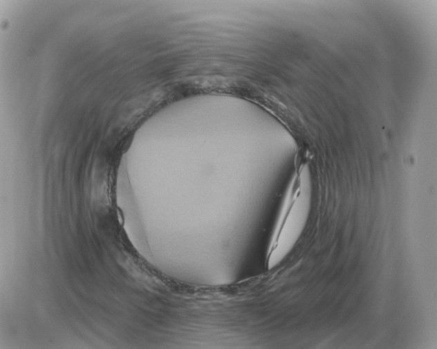 X0000086021250200704201912