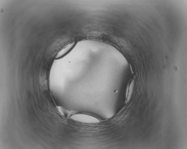 X0000086021252200704201912