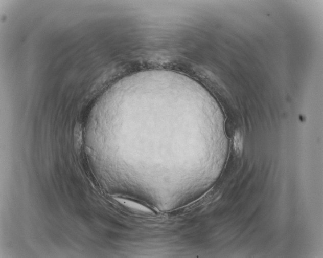 X0000086021299200704201911