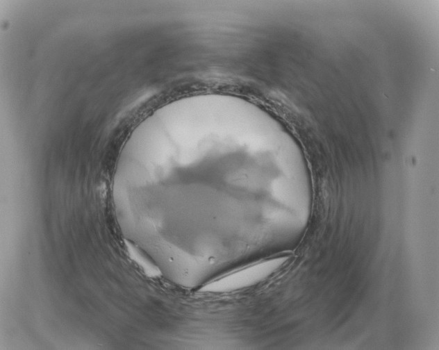 X0000086021302200704201911