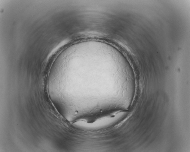 X0000086021309200704201911